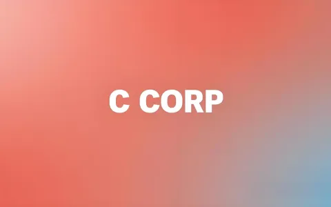 30天倒计时！C Corp报税截止前必看：QSBS新政+免税州组合，如何合法省税1500万？