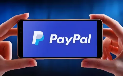 独立开发者出海支付避坑指南：Stripe被封、PayPal冻结怎么破？注册海外公司成合规捷径