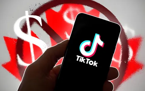 TikTok Shop日本站保证金暴涨至15万日元，中国卖家如何应对与抓住新机遇？