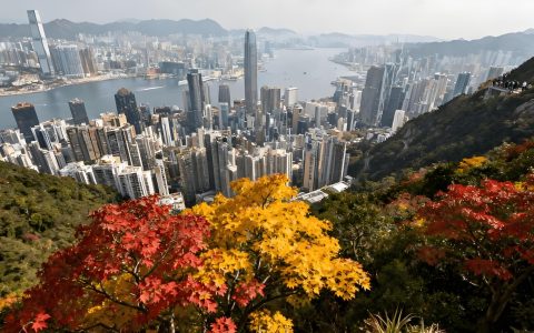 香港地址大清洗：亚马逊与税局联合狙击虚拟地址，中国卖家的生存与机遇