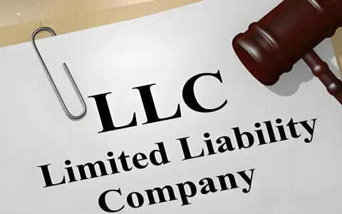 年利润超阈值必看：跨境电商如何从LLC转C Corp并规避双重征税？