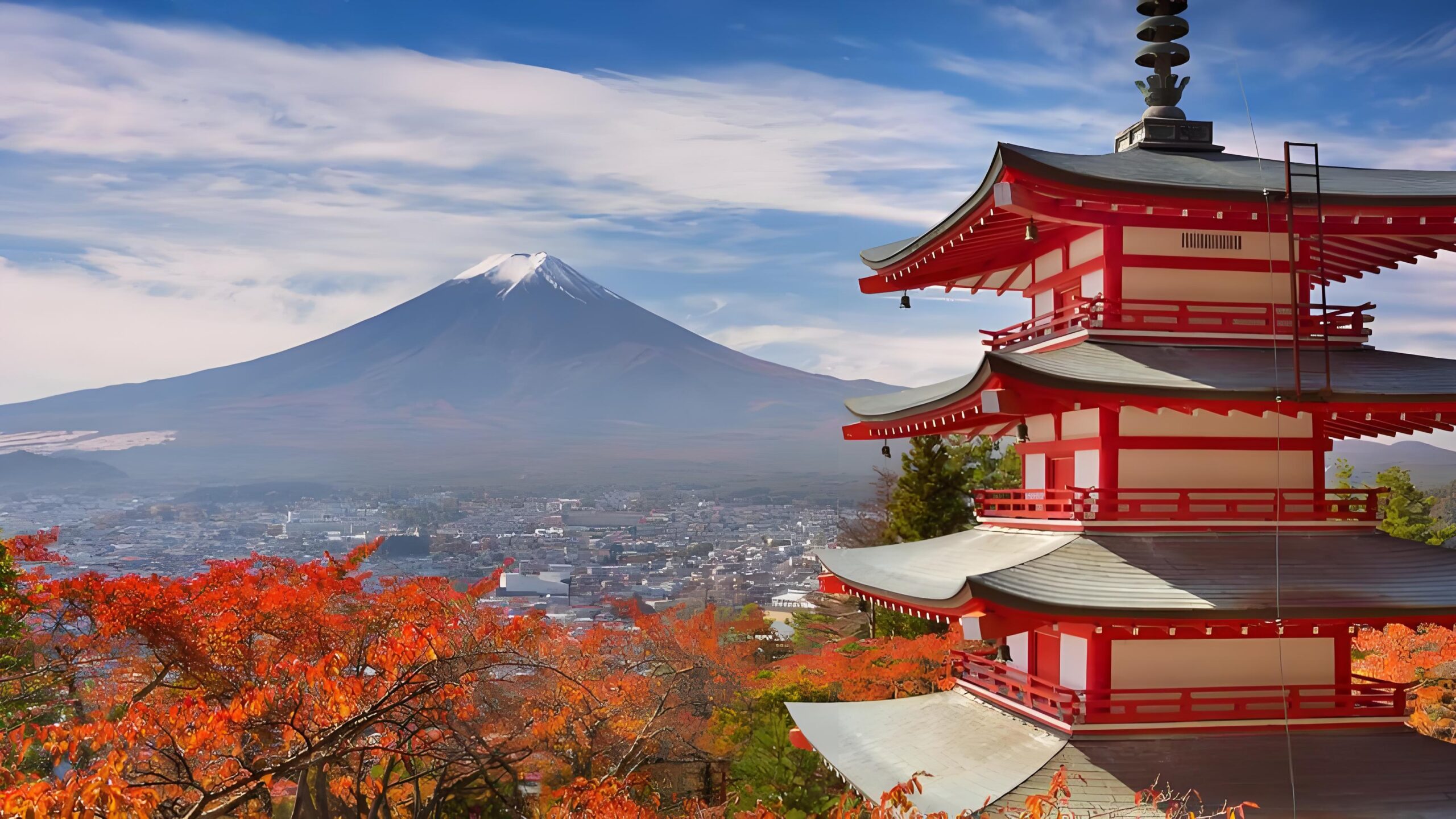 日本签证费暴涨5倍倒计时20天!2026年4月新政解读与中国投资者应对指南