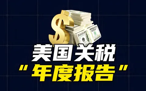 中国公民收到1099-NEC如何申报？手把手教你填1040-NR表格及中美税收协定应用