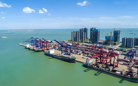 海南自贸港封关后首批章雄鱼苗出口日本！热带水产种苗产业迎来战略机遇期