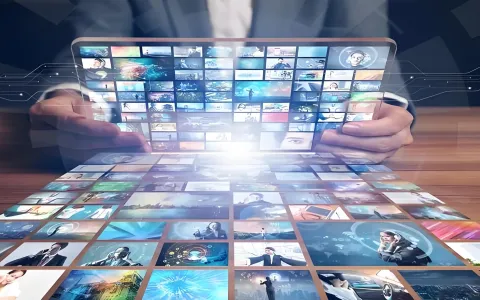 韩国新政倒计时：设立法人vs绑定代理vs海外仓，三种合规路径成本与优劣对比