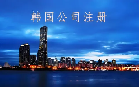 Coupang、Naver卖家必读：韩国本土公司vs个体户法律区别与合规选择全解析