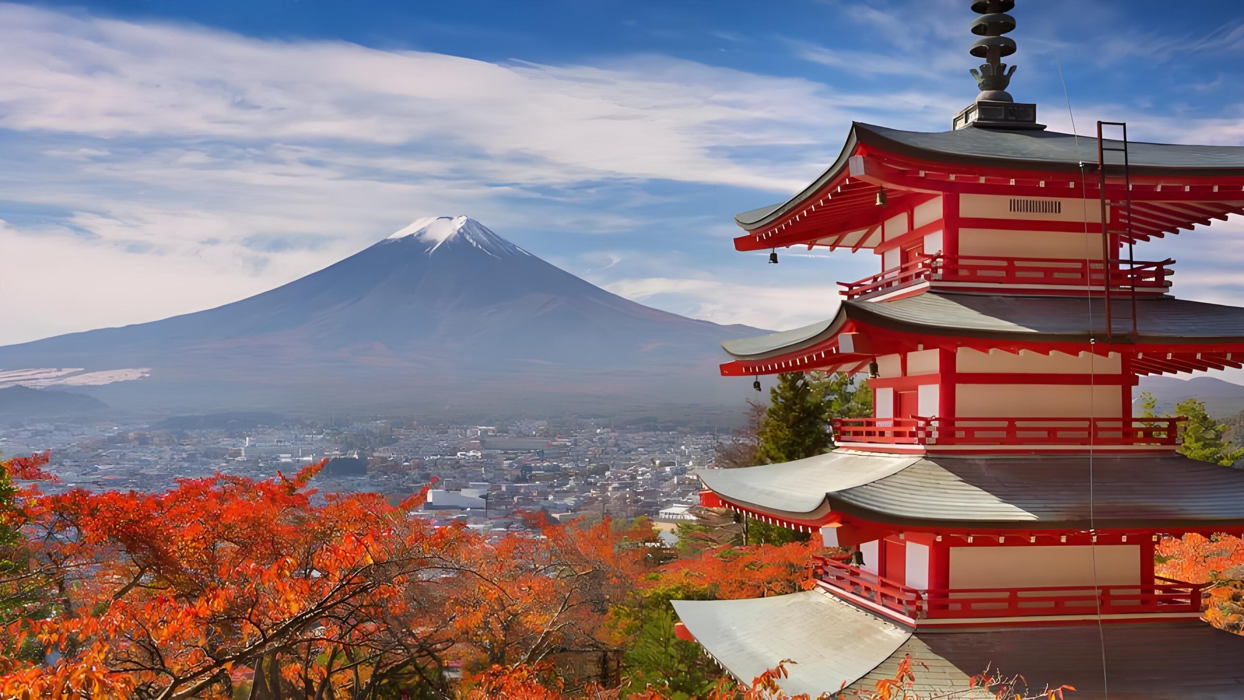 抢占2026亚马逊日本春促先机：从本土公司注册到爆单的全链路实战指南