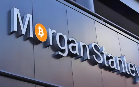 2026摩根士丹利个人户vs普通美国银行账户，多维度优势对比