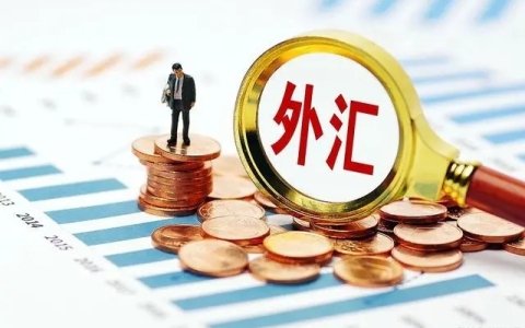 外汇安全深度解析：规范收汇主体与核销机制，如何规避资金链断裂与监管预警？