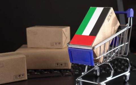 荷兰线上消费市场洞察：跨境贸易新机遇与IngStart助力企业出海