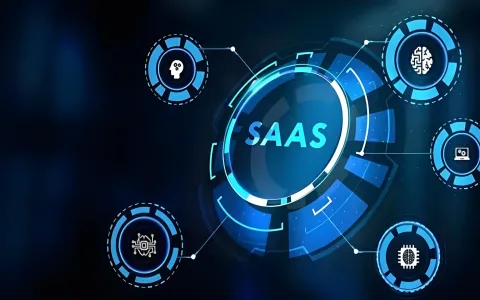 SaaS公司注册地选择：怀俄明州比内华达更适合？2026税务对比