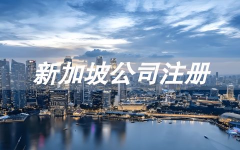 Shopee/Lazada本地店流量扶持：新加坡公司注册必备指南