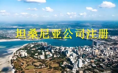 2026坦桑尼亚公司注册费用详解：政府收费清单一览+代理服务费市场价+省钱策略