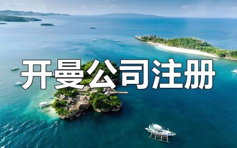 开曼公司注册全攻略2026：上市主体类型选择、税收优势与开户指南