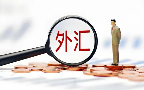 外汇额度全解析：5万美元限制真相与合法资金出境通道
