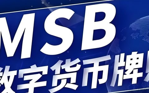 2026 深度测评：美国 MSB VS 加拿大 MSB 牌照，申请门槛、维护成本、监管尺度怎么选？