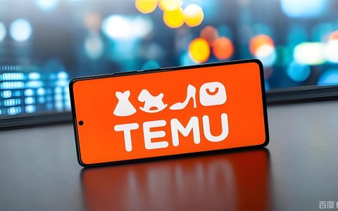 欧盟新规收紧！2026Temu欧洲卖家如何做好税务合规？VAT、EORI、IOSS最新要求一文讲通