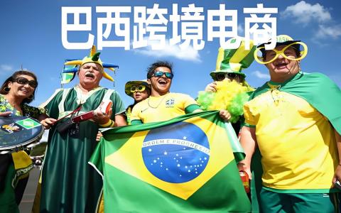 2026 巴西跨境电商市场深度分析：蓝海品类、本土入驻与运营指南 | IngStart