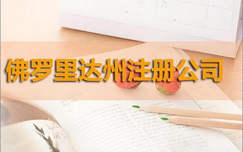305区号是美国哪个州的？迈阿密为什么成为跨境企业新中心？佛罗里达州公司注册与市场布局指南