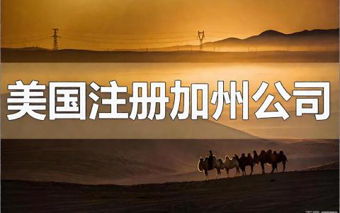 415区号是美国哪个州的？旧金山有哪些商业机会？加州公司注册与跨境电商布局指南