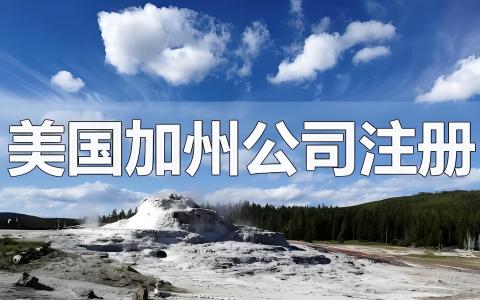 650区号是美国哪个州的？硅谷为什么成为全球创业中心？加州公司注册与出海企业布局指南