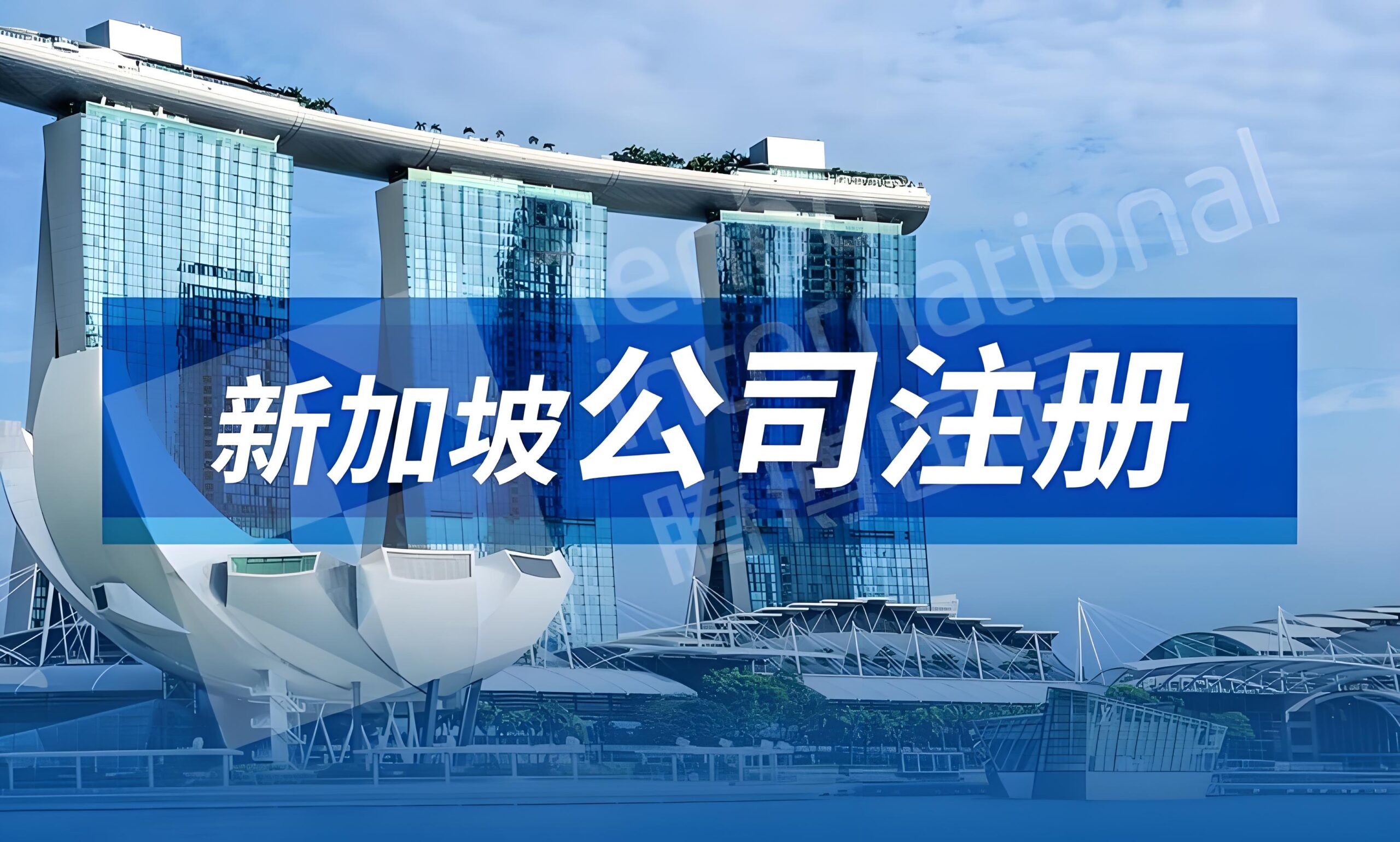 【新加坡外贸市场开发】超全攻略:市场概况、清关、节假日、找客户与市场布局汇总