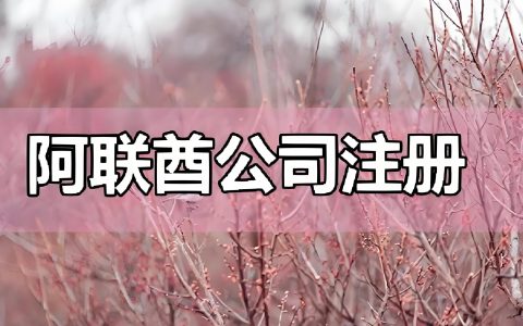 2026中东贸易怎么选离岸主体？对比阿联酋、沙特、香港公司，谁抗风险、收汇更稳？