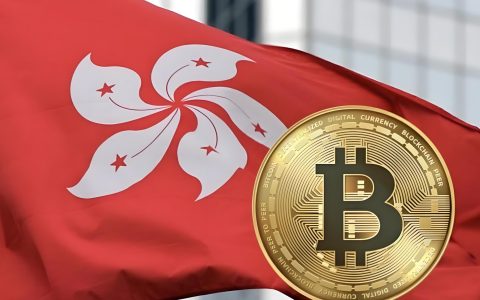 保姆级教程 | 2026香港VASP牌照牌照申请全流程，资料清单、商业计划书撰写要点汇总
